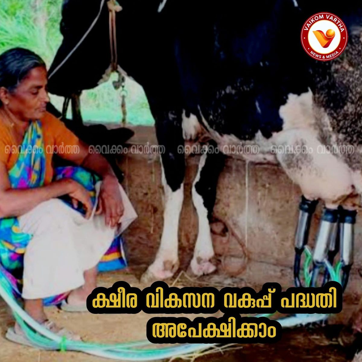 ക്ഷീര വികസന വകുപ്പ് പദ്ധതി