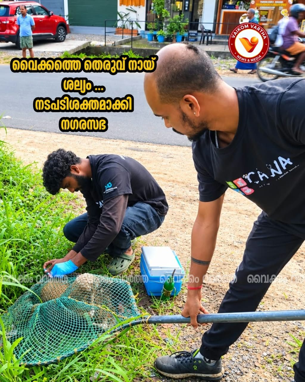 വൈക്കത്തഷ്ടമി: തെരുവുനായ്ക്കൾക്ക് പേവിഷബാധ പ്രതിരോധ കുത്തിവയ്പ് തുടങ്ങി