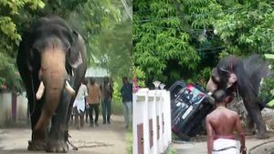 തൃശ്ശൂരിൽ ആന ഇടഞ്ഞു