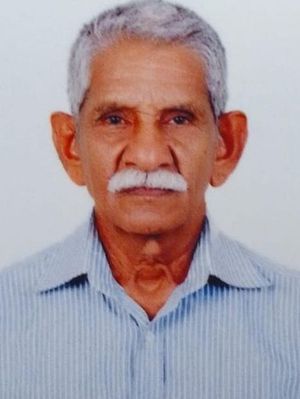 പ്രഭാകരൻ നായർ