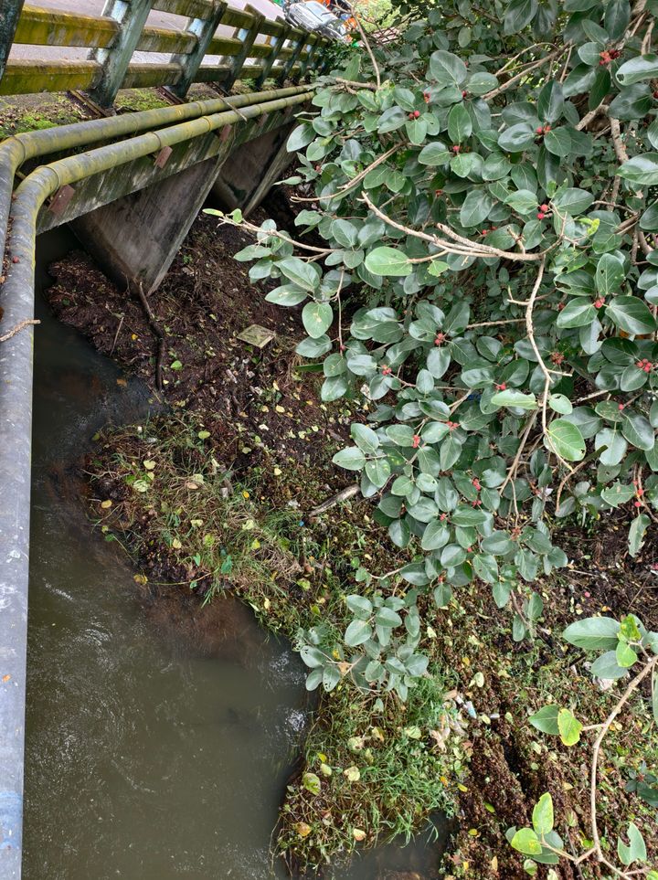 കെ.വി.കനാലിൽ മാലിന്യം നിറയും, ദുരിതവും...