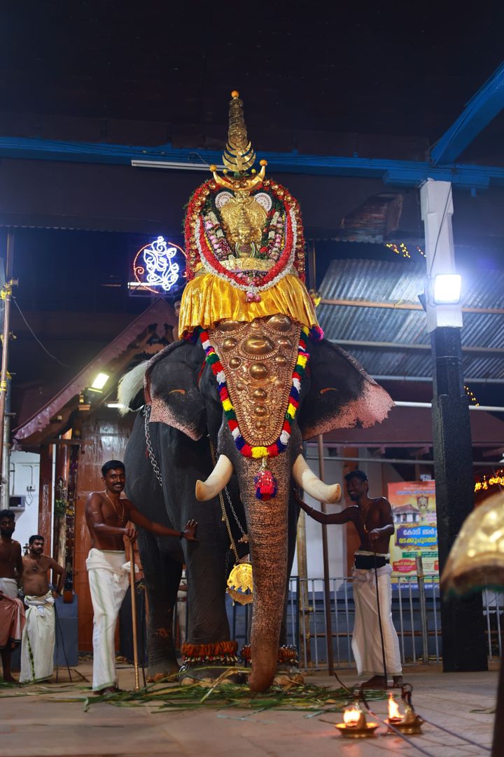 ഗജവീരൻ ഈരാറ്റുപേട്ട അയ്യപ്പന്റെ വിയോഗം ക്ഷേത്രനഗരിക്ക്  വേദനയായി