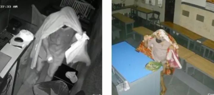 വൈക്കം ടൗണിലെ കടകൾ കുത്തിതുറന്ന് പണം അപഹരിച്ചു