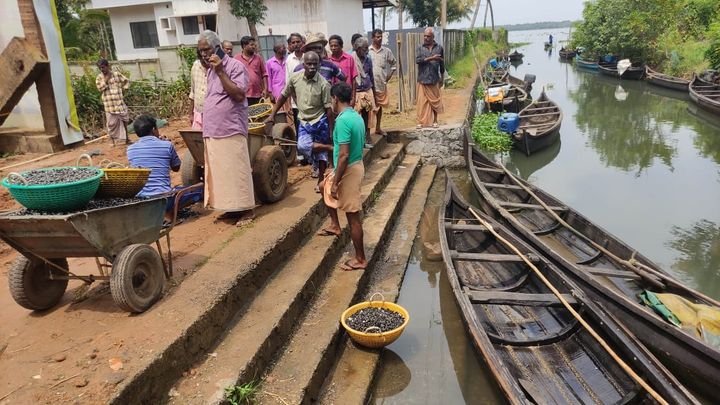 പൊതു കടവിലേക്കുള്ള വഴി മതിൽ കെട്ടി അടയ്ക്കാനുളള റിസോർട്ട് ഉടമയുടെ നീക്കം മത്സ്യ തൊഴിലാളികൾ തടഞ്ഞു