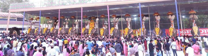 തിരുപുരം പൂരത്തിന്റെ പ്രൗഢിയില്‍ അലിഞ്ഞ് ജനസാഗരം