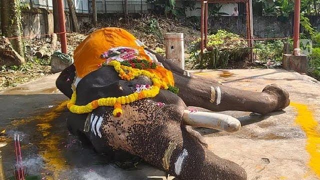 മുല്ലയ്ക്കൽ ബാലകൃഷ്ണൻ ചെരിഞ്ഞു