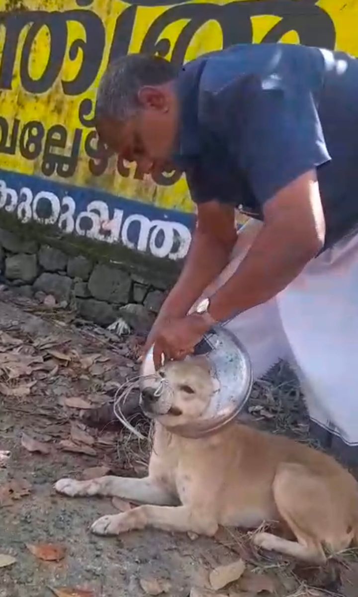 തെരുവിൽ അവശനായി കിടന്ന നായയെ രക്ഷിച്ച് യുവാവ്