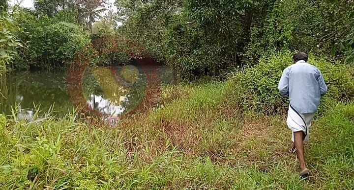 ജിയോളജി വകുപ്പിന്റെ അനാസ്ഥ: വൈക്കത്ത് കരമണൽ ഖനനം ചെയ്ത കുഴികൾ മൂടാൻ നടപടിയില്ല