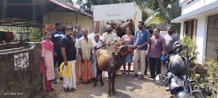 കന്നുകുട്ടികളെ വിതരണം ചെയ്തു