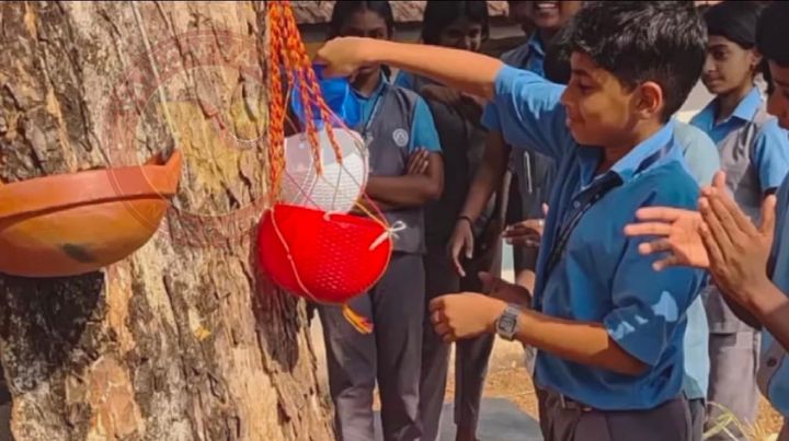 കിളിയൂട്ട് പദ്ധതിക്ക് തുടക്കമായി