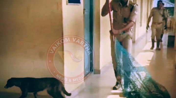 പരീക്ഷ നടക്കുന്നതിനിടെ സ്കൂൾ കെട്ടിടത്തിന്റെ രണ്ടാം നിലയിൽ തെരുവ്നായ