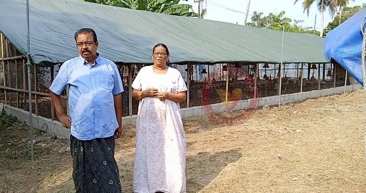 പക്ഷിപ്പനി: കർഷകന് ലക്ഷങ്ങളുടെ നഷ്ടം, കളളിംഗ് വ്യാഴാഴ്ച