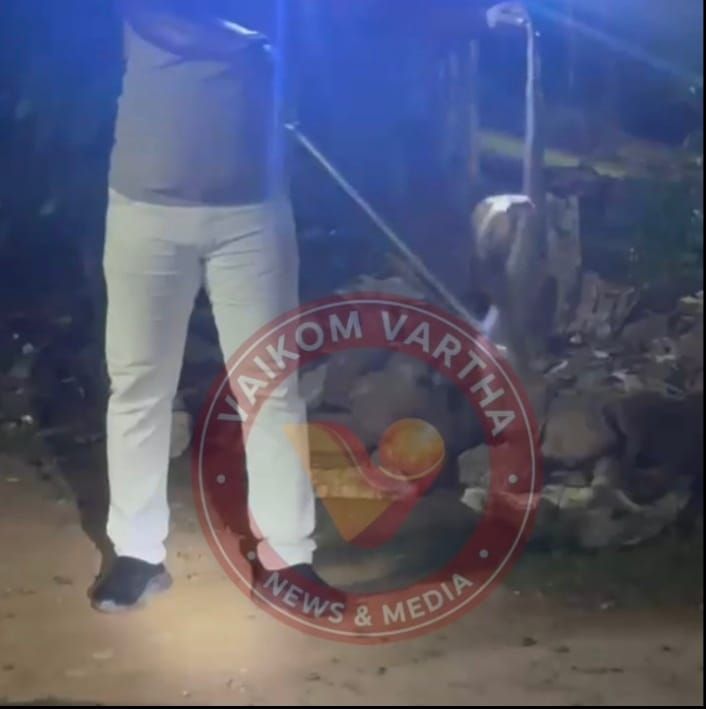 വൈക്കത്ത് രണ്ടിടങ്ങളിൽ മൂർഖൻ പാമ്പിനെ പിടികൂടി