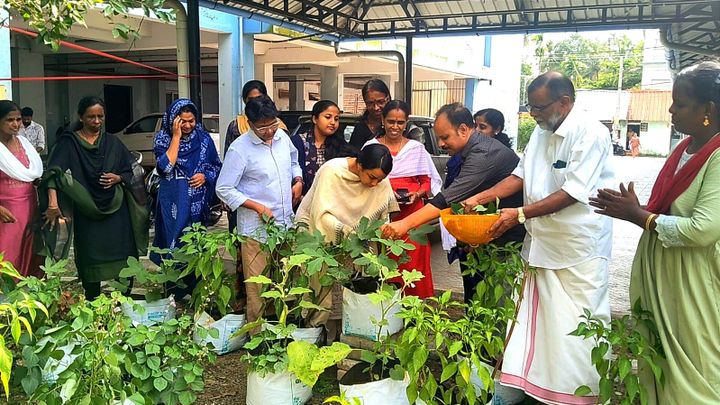 കോടതി വളപ്പിൽ പച്ചക്കറി കൃഷിയുടെ ആദ്യ വിളവെടുപ്പ് നടന്നു