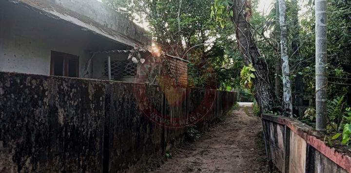 അപകടകരമായി നിൽക്കുന്ന മരം വെട്ടി നീക്കണമെന്ന് ആവശ്യം