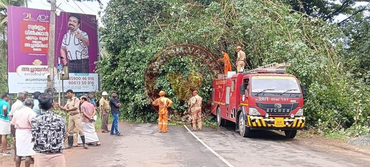 മരം വീണ് ഗതാഗത തടസ്സം