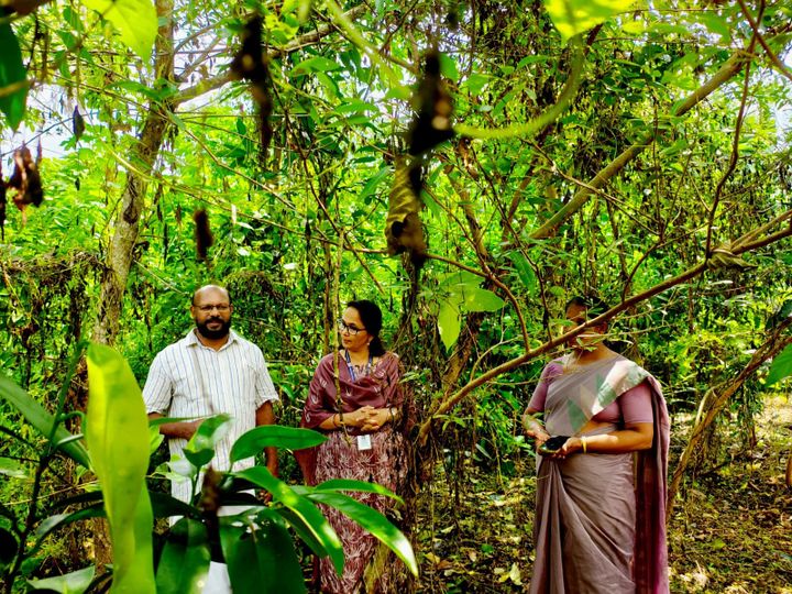 ഉദയനാപുരം പഞ്ചായത്തിലെ എല്ലാ സ്കൂളുകളിലും വിദ്യാവനം നിർമ്മിക്കും