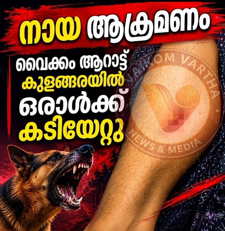 നായയുടെ ആക്രമണം: ഒരാൾക്ക് കടിയേറ്റു