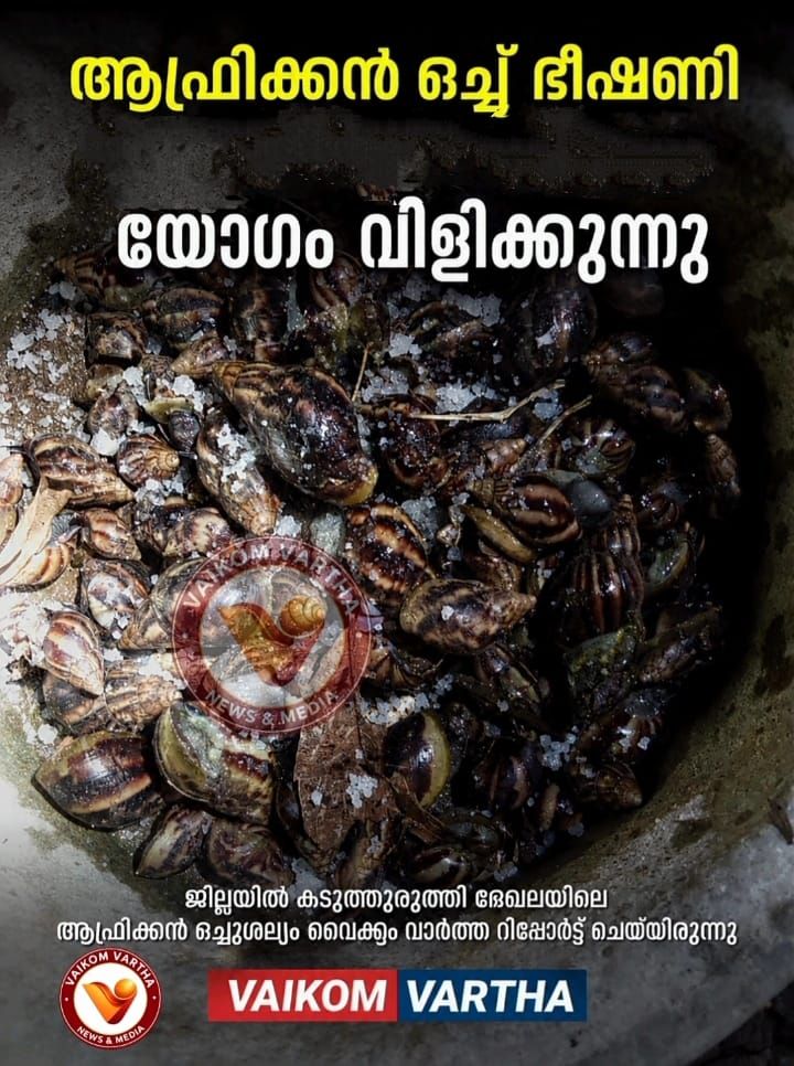 ആഫ്രിക്കൻ ഒച്ചുകളുടെ ശല്യം കൂടുതലുള്ള പഞ്ചായത്തുകളിൽ ഏകാരോഗ്യം പദ്ധതി യോഗം വിളിക്കാൻ തീരുമാനം