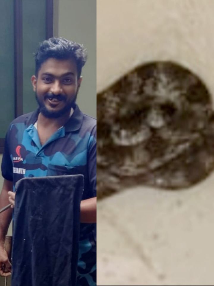 മൃഗാശുപത്രിയിൽ നിന്ന് അണലിയെ പിടികൂടി