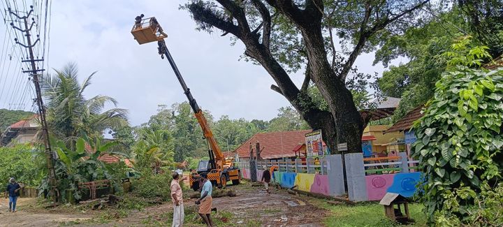 ​സ്കൂൾവളപ്പിൽ അപകടകരമായി നിന്ന വൃക്ഷത്തിൻ്റെ ശിഖരങ്ങൾ മുറിച്ചു മാറ്റി