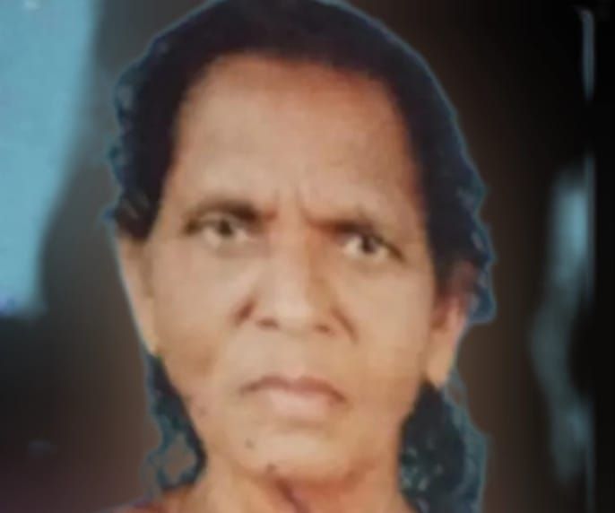 വയോധിക വീട്ടുമുറ്റത്തെ വെള്ളക്കെട്ടിൽ മരിച്ച നിലയിൽ