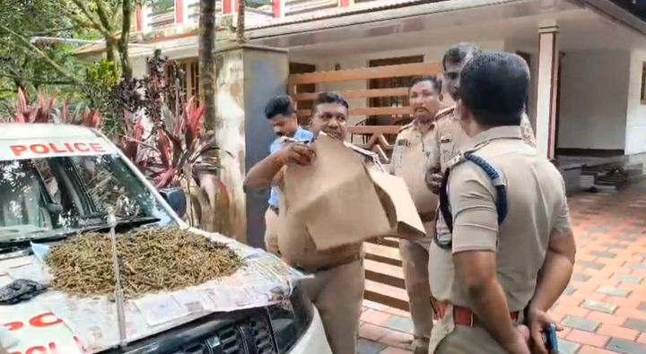 പാലാ പൂവരണിയിൽ വൻ കഞ്ചാവ് വേട്ട