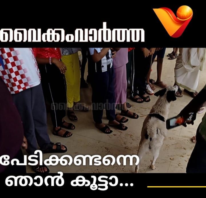 സ്കൂൾ മുറ്റത്തെ വേറിട്ട സൗഹൃദം: വടക്കേനട സ്കൂളിലെ കുട്ടികൾക്ക് അവളൊരു കൂട്ടുകാരിയാണ്!