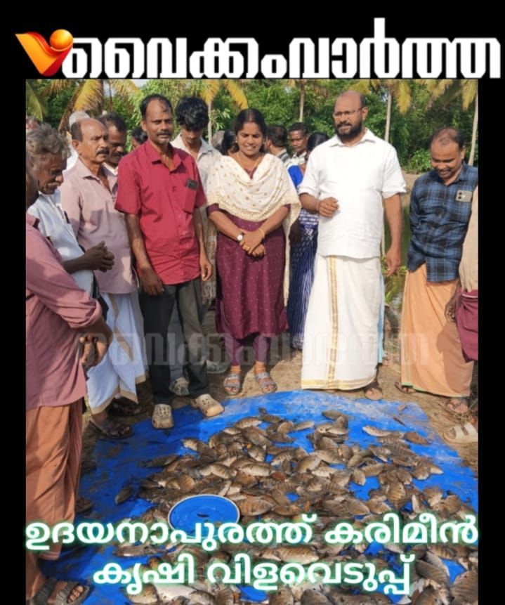 കരിമീൻ കൃഷി വിളവെടുത്തു