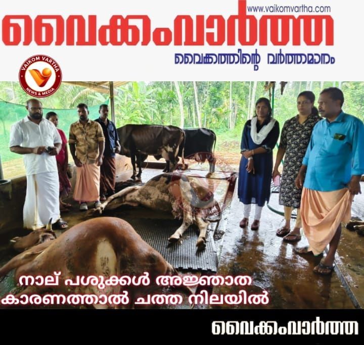 ‌ഉദയനാപുരത്ത് ക്ഷീരകർഷകൻ്റെ ഫാമിൽ നാല് പശുക്കൾ ചത്തു