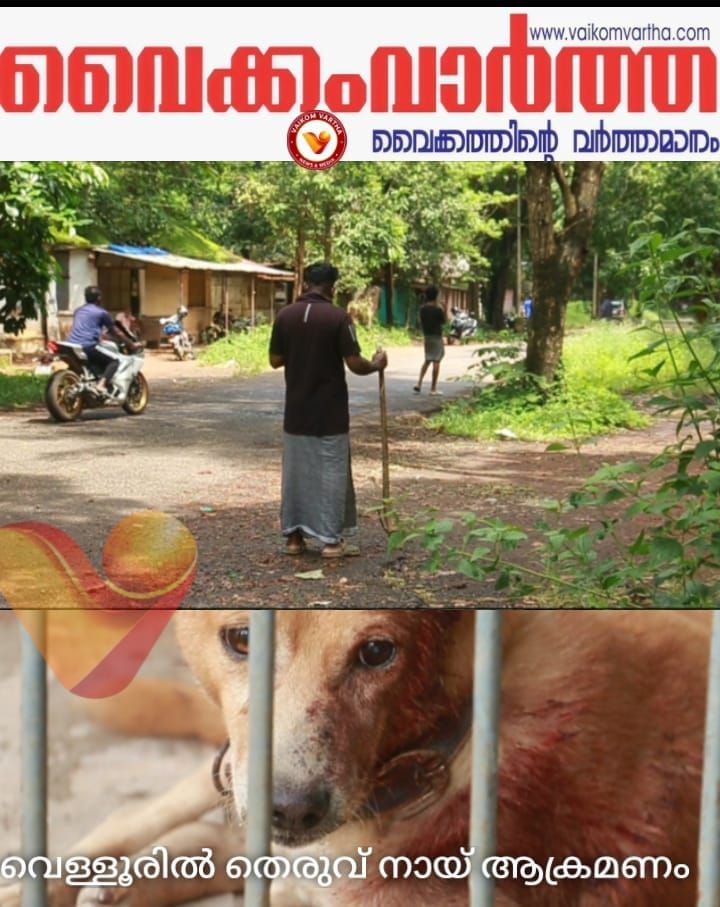 വെളളൂരിൽ തെരുവ് നായ ആക്രമണം: മൂന്ന് പേർക്ക് കടിയേറ്റു