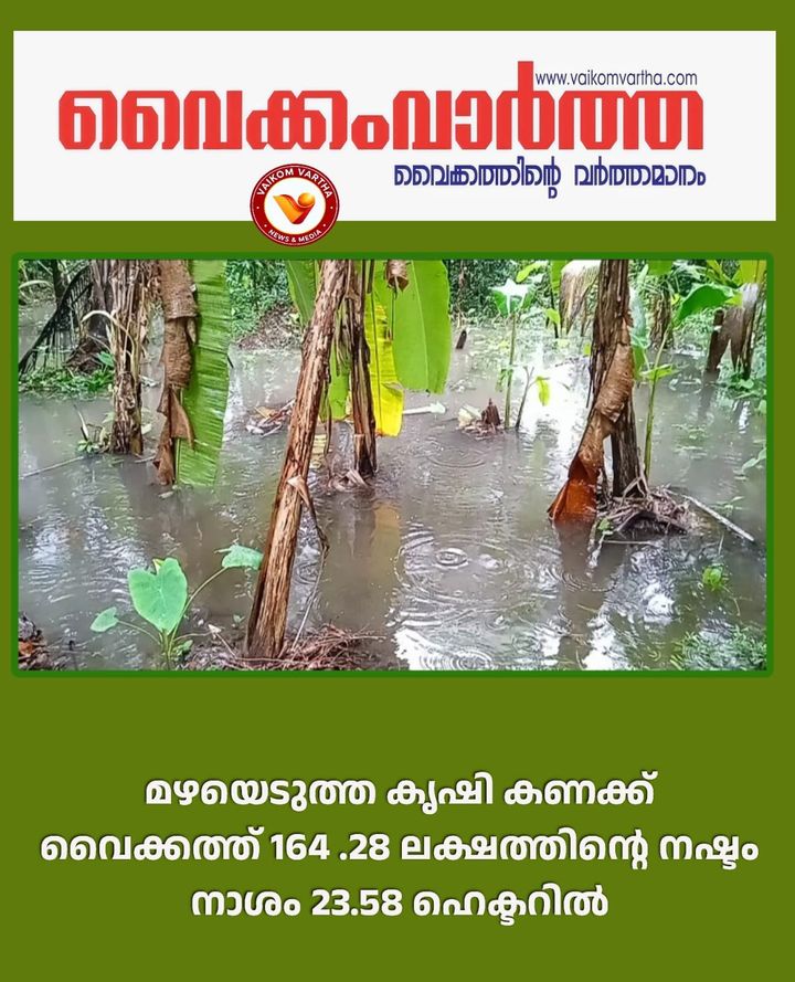 വൈക്കത്ത് 164.28 ലക്ഷത്തിൻ്റെ കൃഷിനാശം
