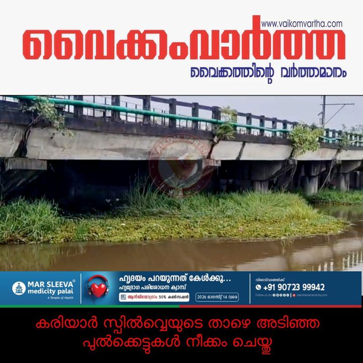 കരിയാർ സ്പിൽവേയിൽ അടിഞ്ഞ പുൽക്കെട്ടുകൾ നീക്കം ചെയ്തു