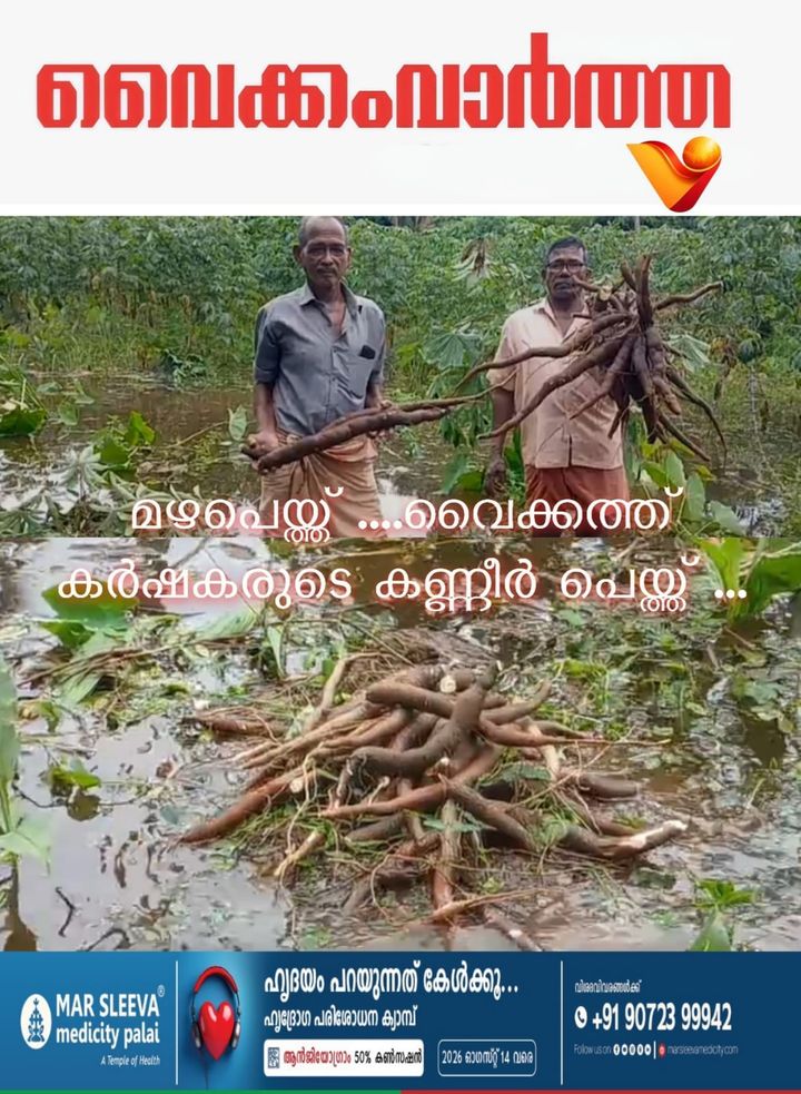കർഷകരുടെ കണ്ണീരായി വെള്ളപ്പൊക്കം: വൈക്കം മേഖലയിൽ ലക്ഷങ്ങളുടെ കൃഷിനാശം