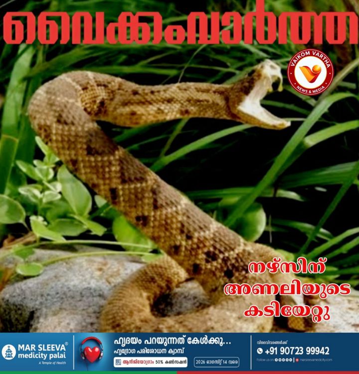 സര്‍ക്കാര്‍ ജനകീയാരോഗ്യ കേന്ദ്രത്തില്‍ നഴ്സിന് അണലിയുടെ കടിയേറ്റു