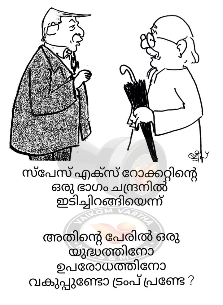 വൈക്കത്തുകാരൻ: കാർട്ടൂൺ പരമ്പര