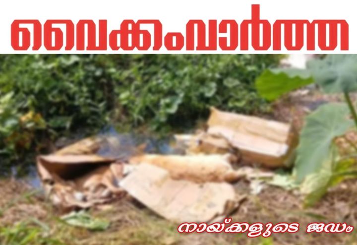 തലയോലപറമ്പിൽ പൊതുവഴിയോരത്ത് മാലിന്യ നിക്ഷേപം വ്യാപകം