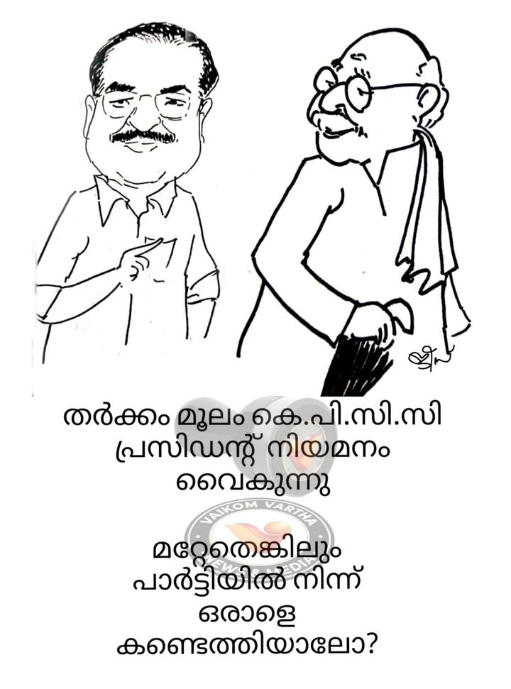 വൈക്കത്തുകാരൻ: കാർട്ടൂൺ പരമ്പര