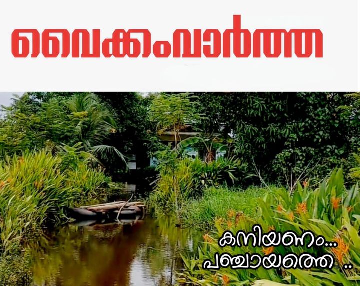 വടയാർ വടക്കേ പുതുശേരിയിൽ വെള്ളക്കെട്ട് രൂക്ഷം: തോടു ശുചീകരണവും പമ്പിംഗും വൈകുന്നതിൽ പ്രതിഷേധം