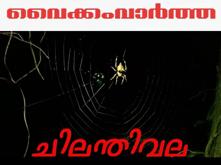 ചിലന്തിവല: പ്രകൃതിയുടെ അത്ഭുത നിർമ്മിതി
