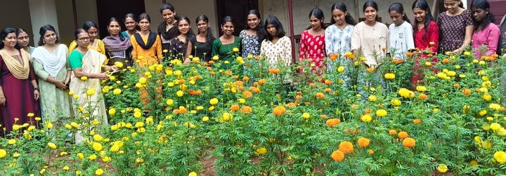 ആശ്രമം സ്ക്കൂളില്‍ ബന്ദിപ്പൂ കൃഷിക്ക് നൂറുമേനി വിളവ്