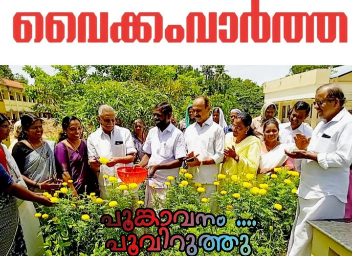 പൂത്തുലഞ്ഞ് തെക്കേനട സർക്കാർ സ്കൂൾ മുറ്റം: പൂങ്കാവനം പദ്ധതിയിലെ ബന്തിപ്പൂ കൃഷി വിളവെടുത്തു