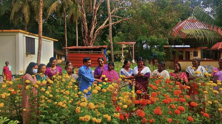 തലയാഴത്ത് ഹൃദ്യയുടെ പൂക്കാലം