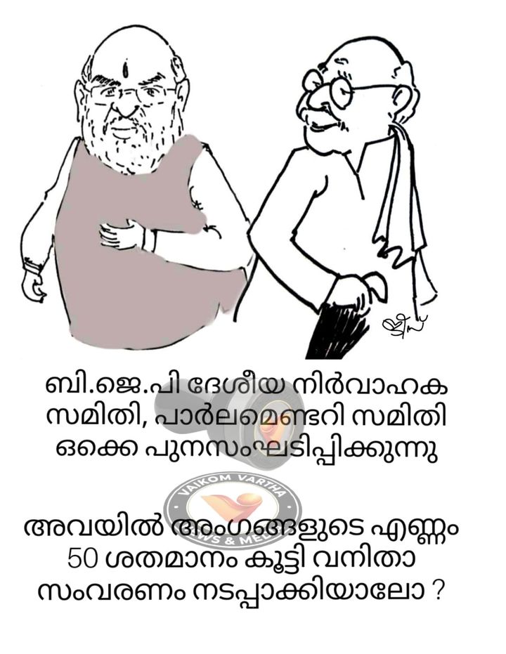 വൈക്കത്തുകാരൻ: കാർട്ടൂൺ പരമ്പര