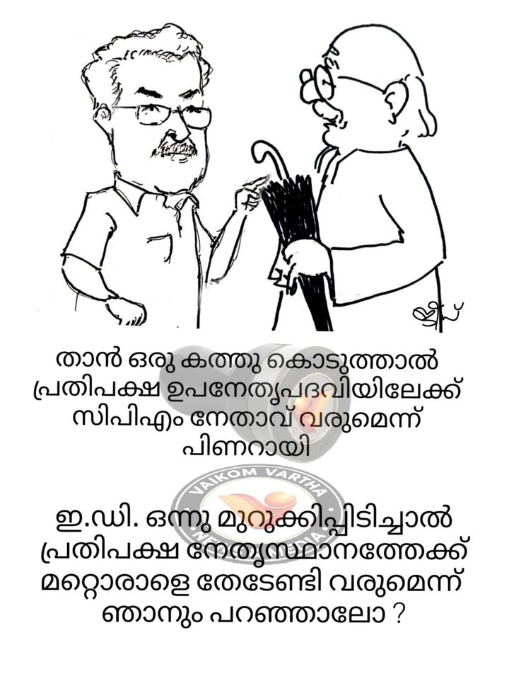 വൈക്കത്തുകാരൻ: കാർട്ടൂൺ പരമ്പര