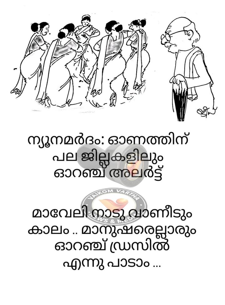 വൈക്കത്തുകാരൻ: കാർട്ടൂൺ പരമ്പര
