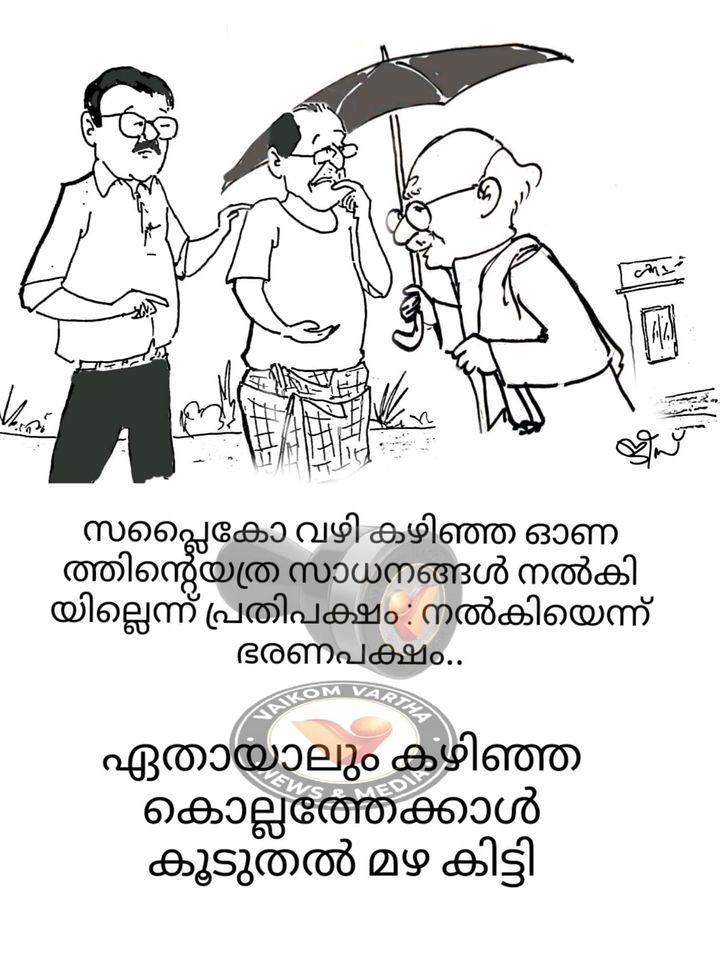 വൈക്കത്തുകാരൻ: കാർട്ടൂൺ പരമ്പര