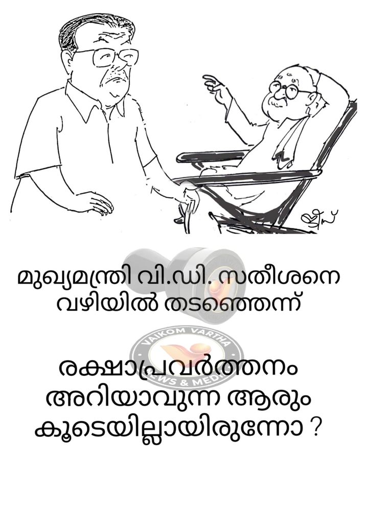 വൈക്കത്തുകാരൻ: കാർട്ടൂൺ പരമ്പര