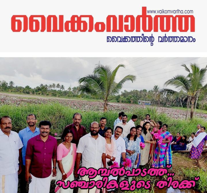 മാനാപ്പള്ളിയിൽ ആമ്പൽ വസന്തം: കാഴ്ച കാണാൻ സഞ്ചാരികളുടെ തിരക്കേറുന്നു