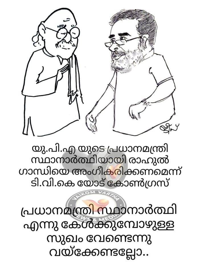 വൈക്കത്തുകാരൻ: കാർട്ടൂൺ പരമ്പര